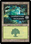 Product image for Forêt