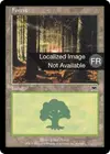 Product image for Forêt