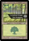 Product image for Forêt