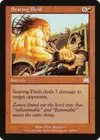 Product image for Searing Flesh