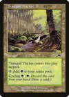 Product image for Tranquil Thicket