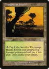 Product image for Windswept Heath