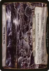 Product image for The Dark Barony