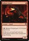Product image for Bellows Lizard