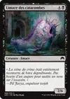 Product image for Limace des catacombes