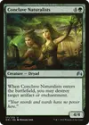Product image for Conclave Naturalists