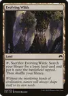 Product image for Evolving Wilds