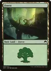 Product image for Forest