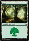 Product image for Forêt