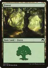 Product image for Forest