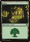 Product image for Forest