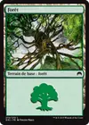 Product image for Forêt