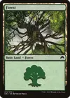 Product image for Forest