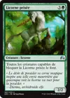 Product image for Licorne prisée