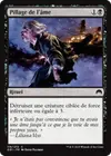 Product image for Pillage de l'âme