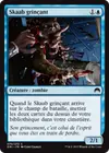 Product image for Skaab grinçant