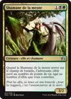 Product image for Shamane de la meute