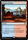 Product image for Brisants shivâns