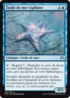 Product image for Étoile de mer sigillaire