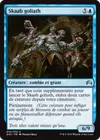 Product image for Skaab goliath