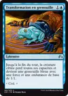 Product image for Transformation en grenouille