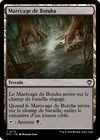 Product image for Marécage de Bojuka
