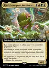 Product image for Kirri, bourgeon talentueux