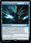 Product image for Dilatation de l'esprit