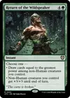 Product image for Return of the Wildspeaker