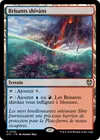 Product image for Brisants shivâns