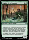 Product image for Druide du printemps