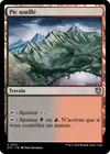 Product image for Pic souillé