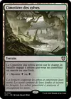 Product image for Cimetière des sylves