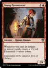 Product image for Young Pyromancer