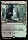 Product image for Marécage bourgeonnant