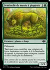 Product image for Sentinelle de meute à piquants