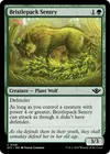 Product image for Bristlepack Sentry