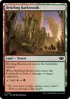 Product image for Bristling Backwoods