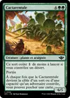 Product image for Cactarentule