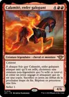 Product image for Calamité, enfer galopant
