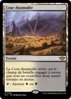 Product image for Cour dissimulée