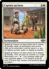 Product image for Capture au lasso