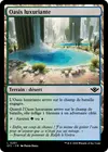 Product image for Oasis luxuriante