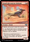 Product image for Grand géocoucou résistant