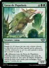 Product image for Tatou de Piquebois