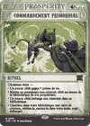 Product image for Commandement primordial