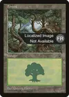 Product image for Forêt
