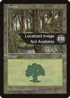 Product image for Forêt