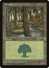 Product image for Forest