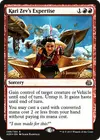 Product image for Kari Zev's Expertise